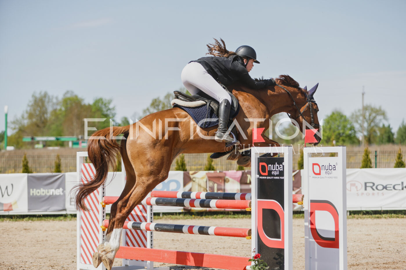 Gramina_Kevad_2026_100_091