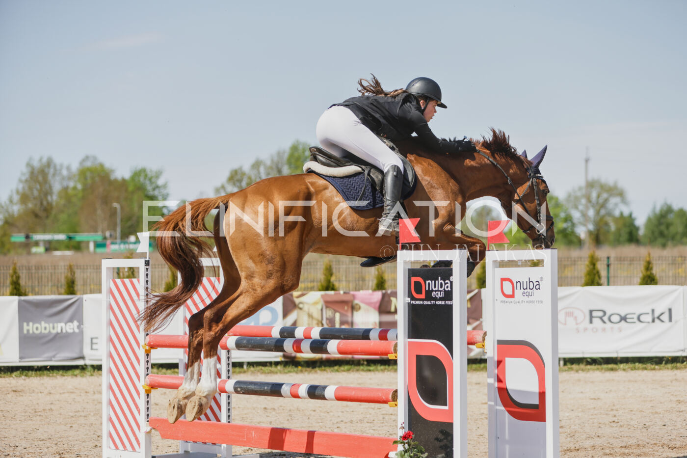 Gramina_Kevad_2026_100_092