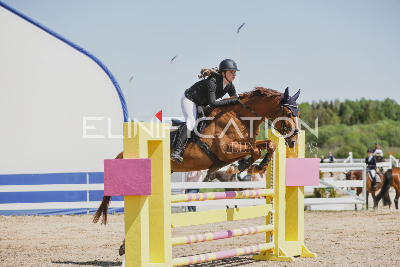 Gramina_Kevad_2026_100_093