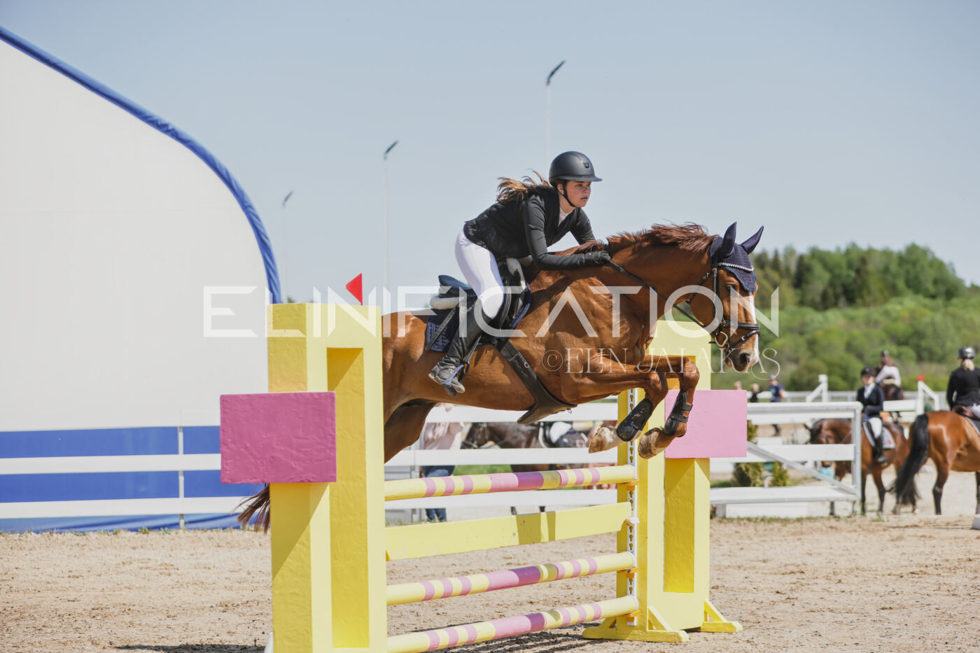 Gramina_Kevad_2026_100_094