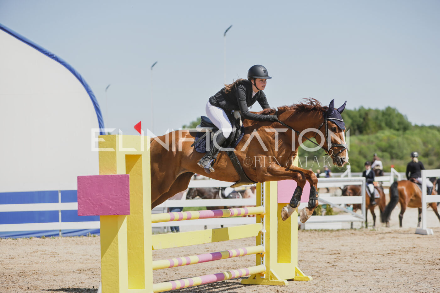 Gramina_Kevad_2026_100_095