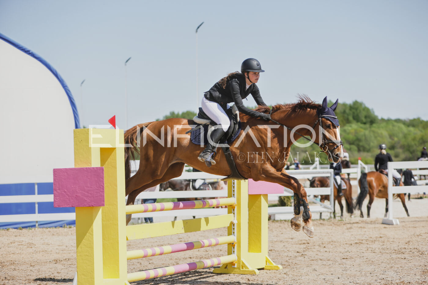 Gramina_Kevad_2026_100_096