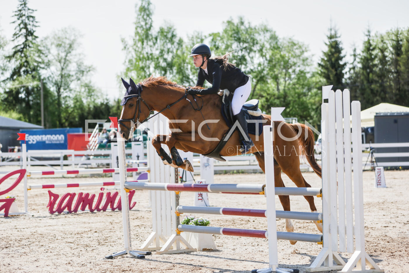 Gramina_Kevad_2026_100_097