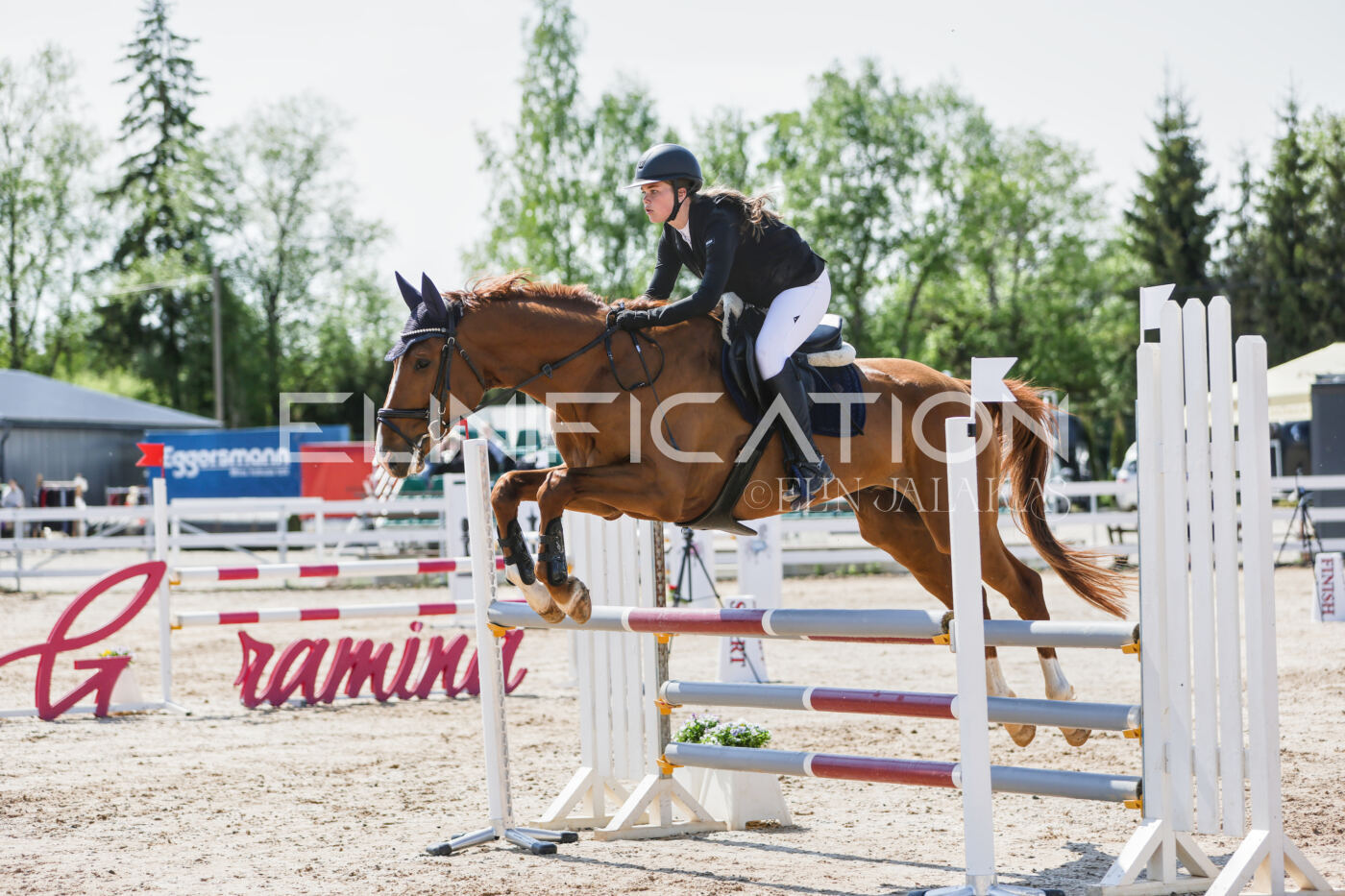 Gramina_Kevad_2026_100_098