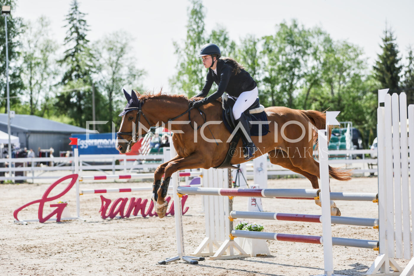 Gramina_Kevad_2026_100_099