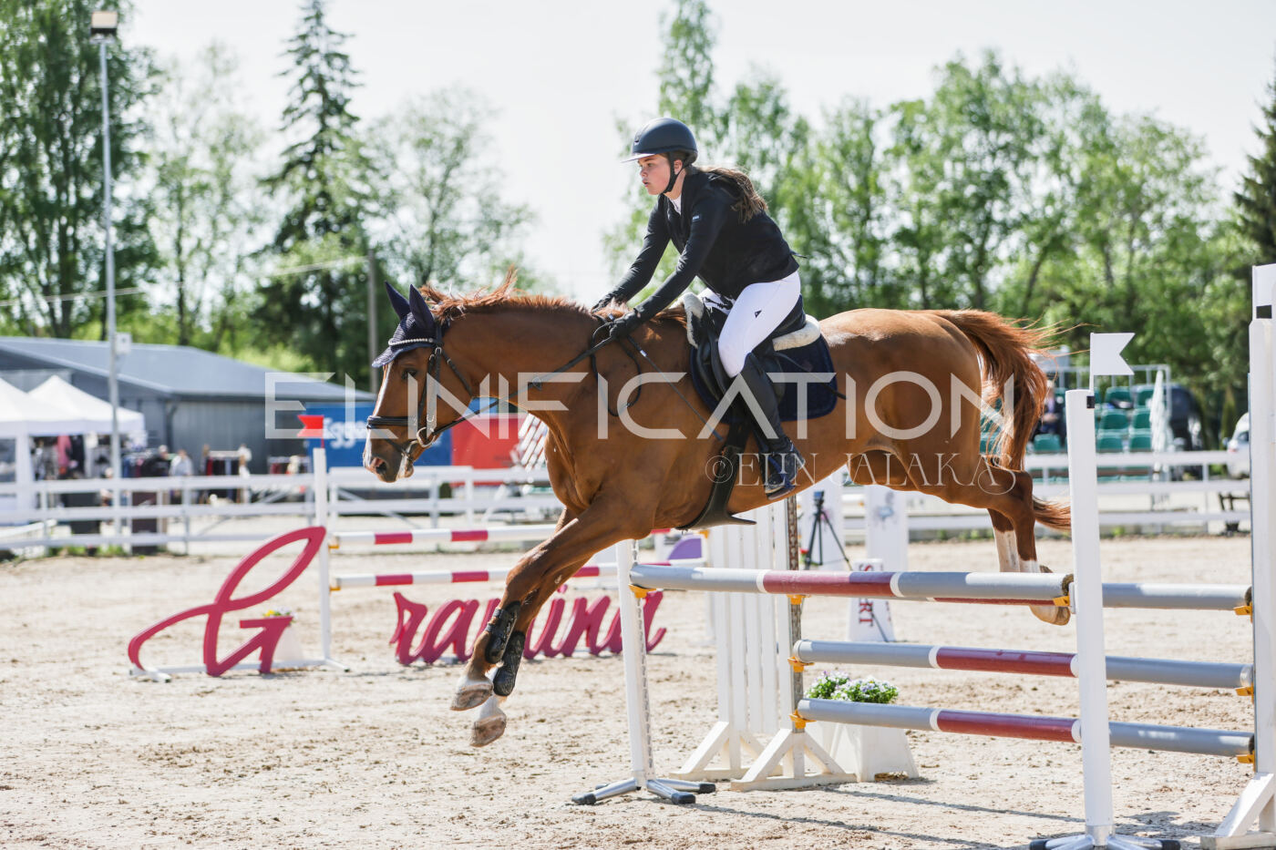Gramina_Kevad_2026_100_100