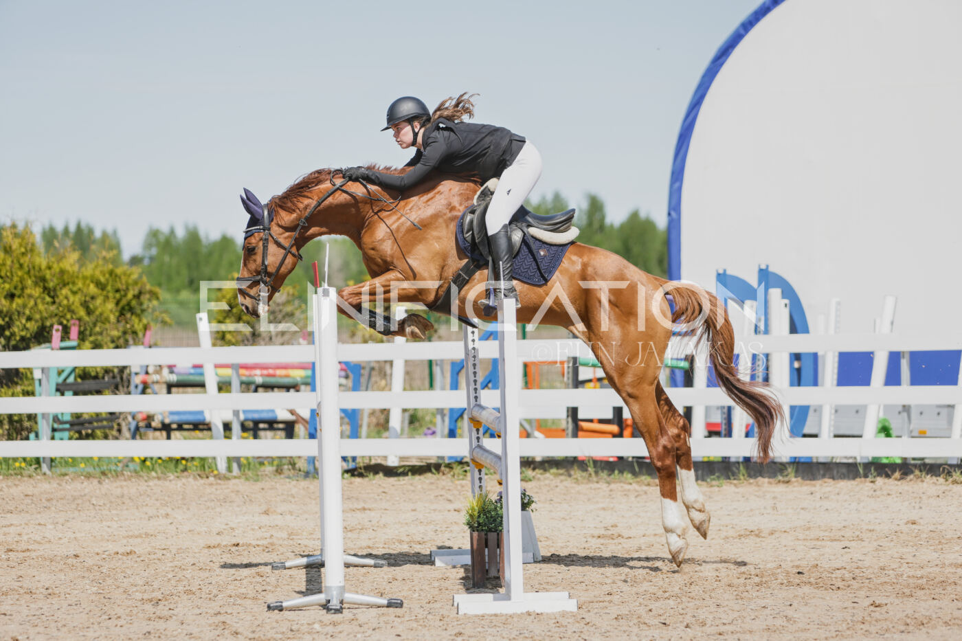 Gramina_Kevad_2026_100_104