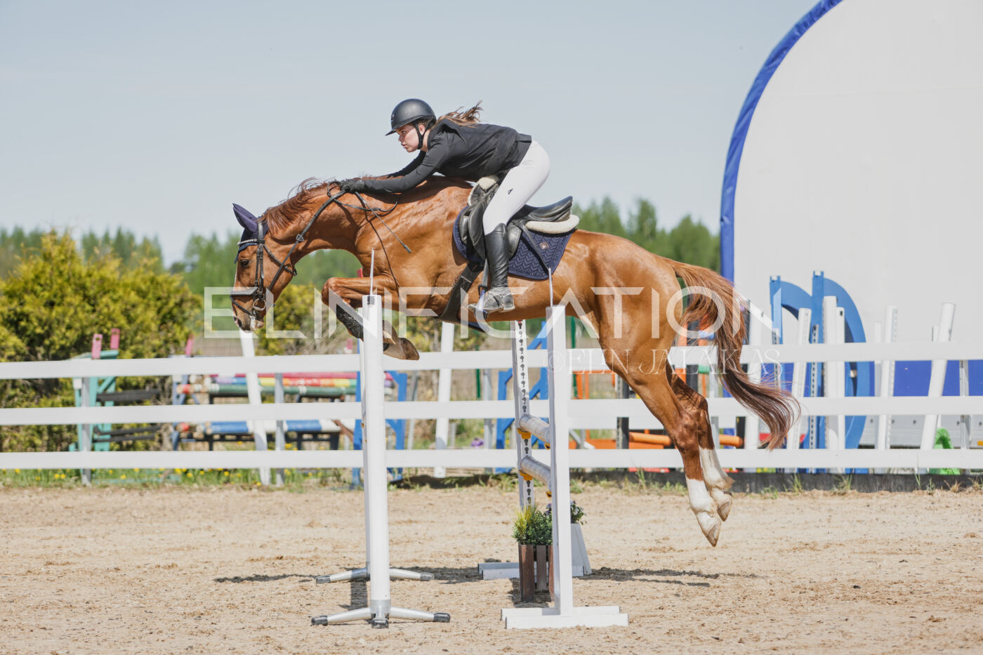 Gramina_Kevad_2026_100_105