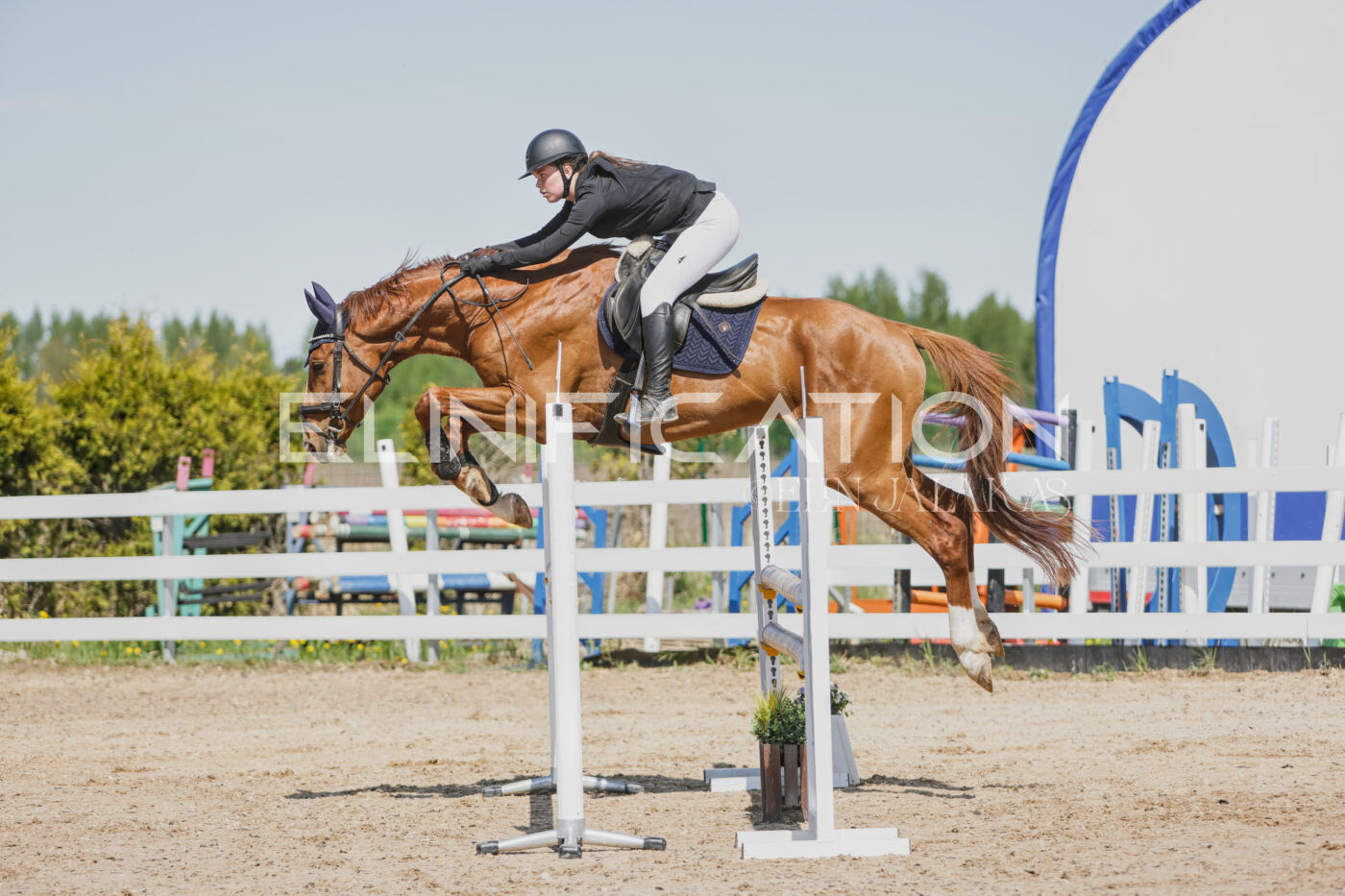 Gramina_Kevad_2026_100_106