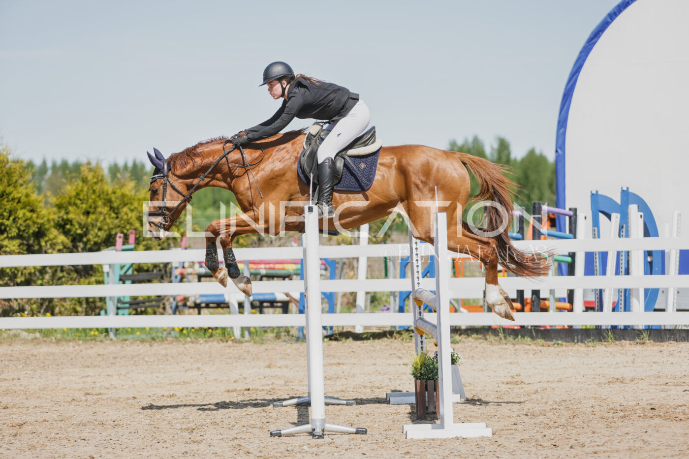 Gramina_Kevad_2026_100_107