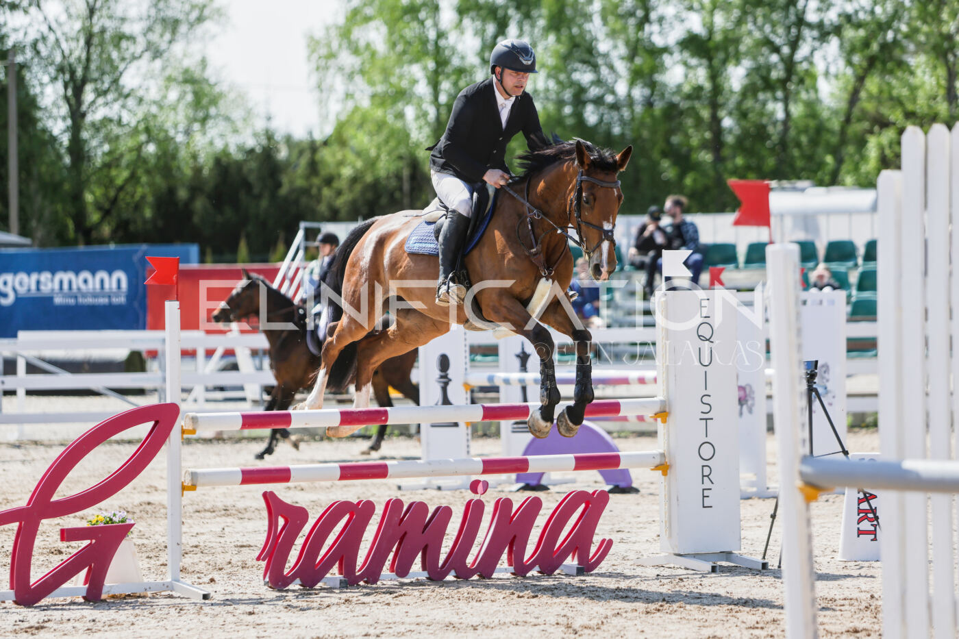 Gramina_Kevad_2026_100_111