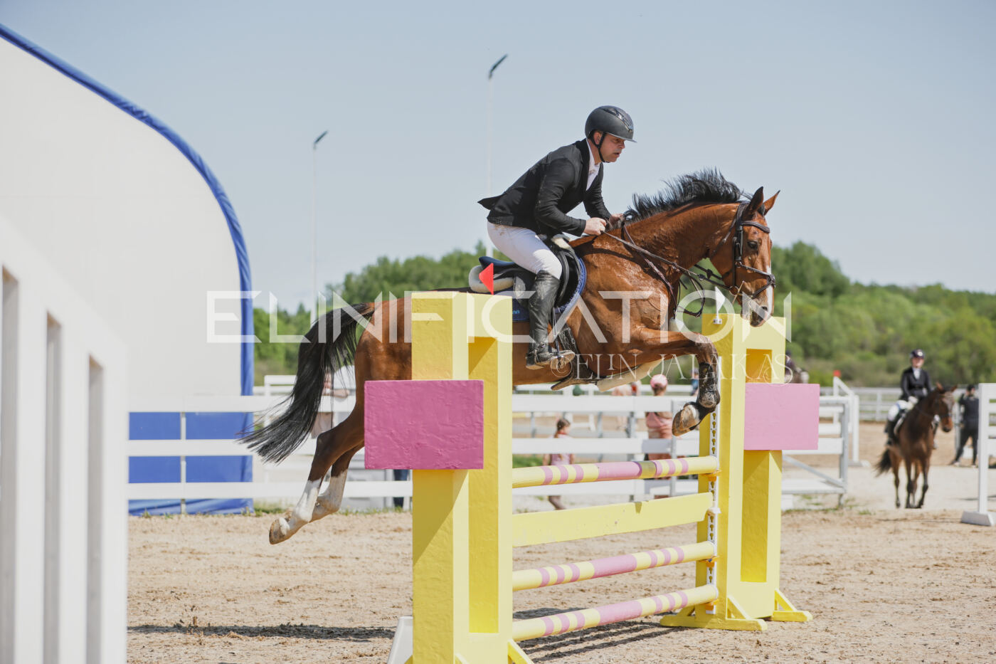 Gramina_Kevad_2026_100_112