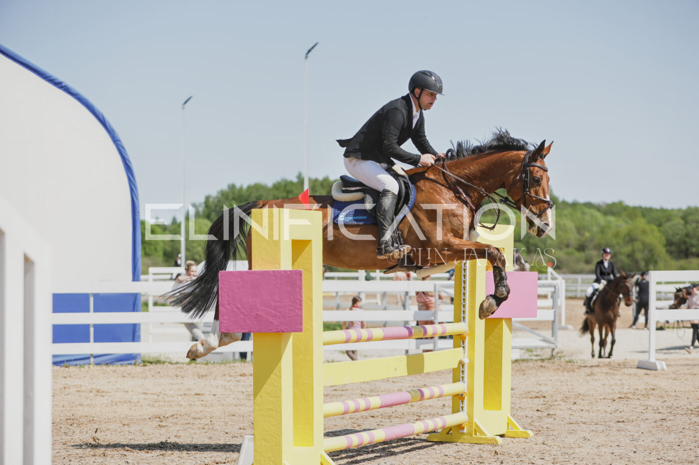Gramina_Kevad_2026_100_113