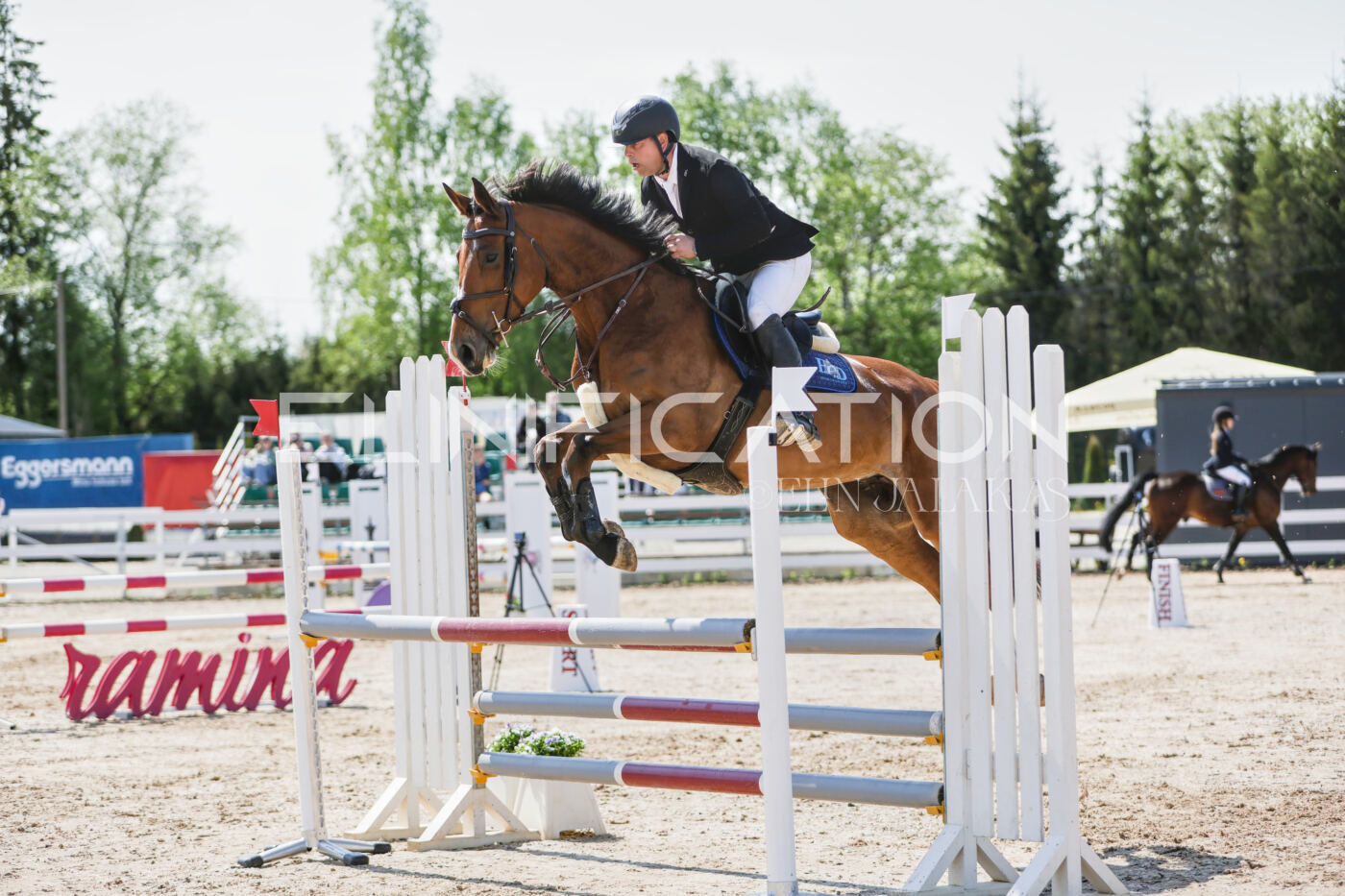 Gramina_Kevad_2026_100_115