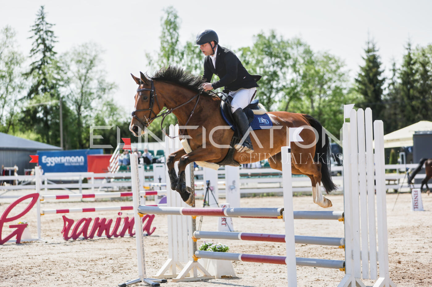 Gramina_Kevad_2026_100_117