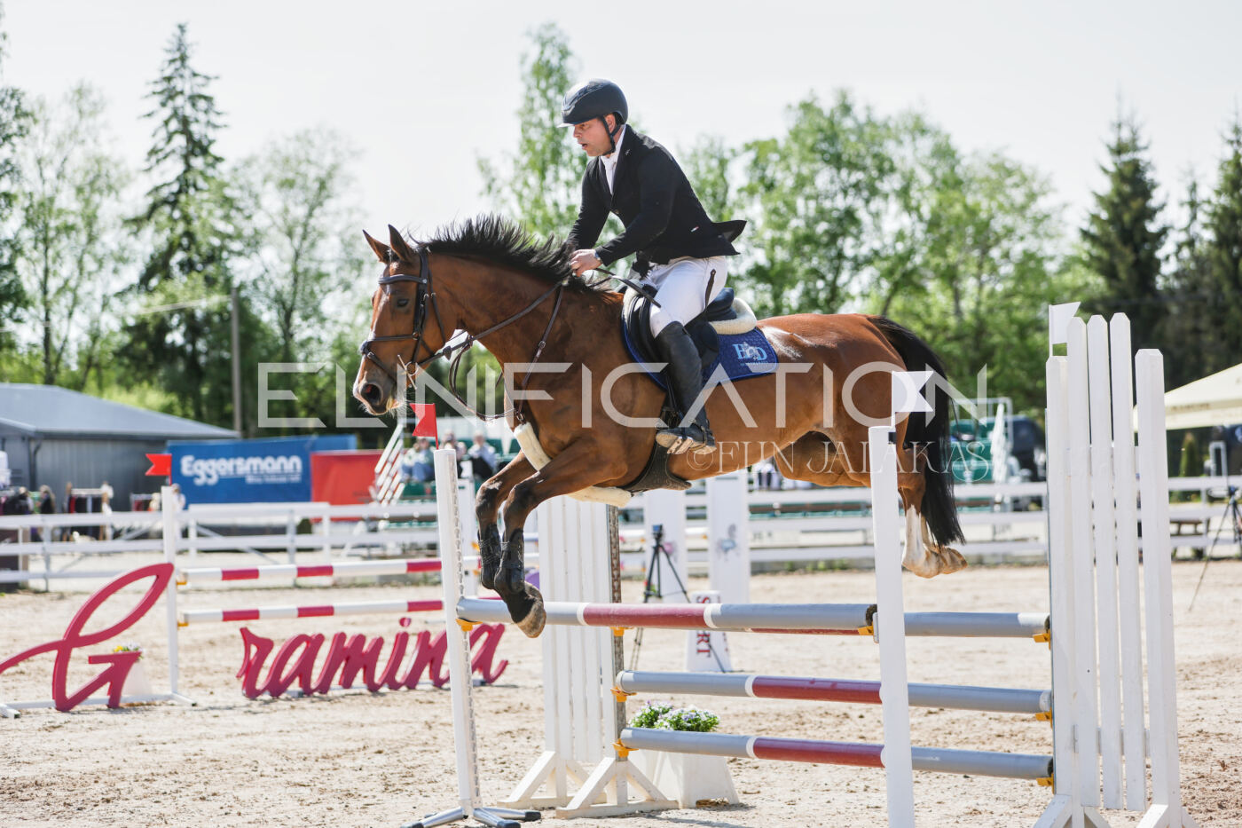 Gramina_Kevad_2026_100_118