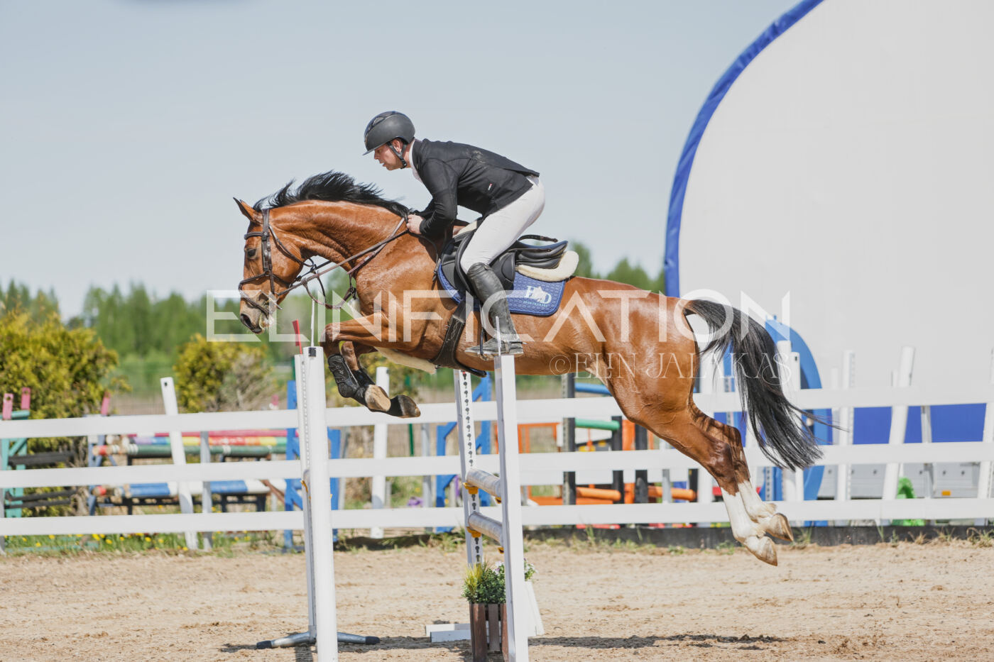 Gramina_Kevad_2026_100_121