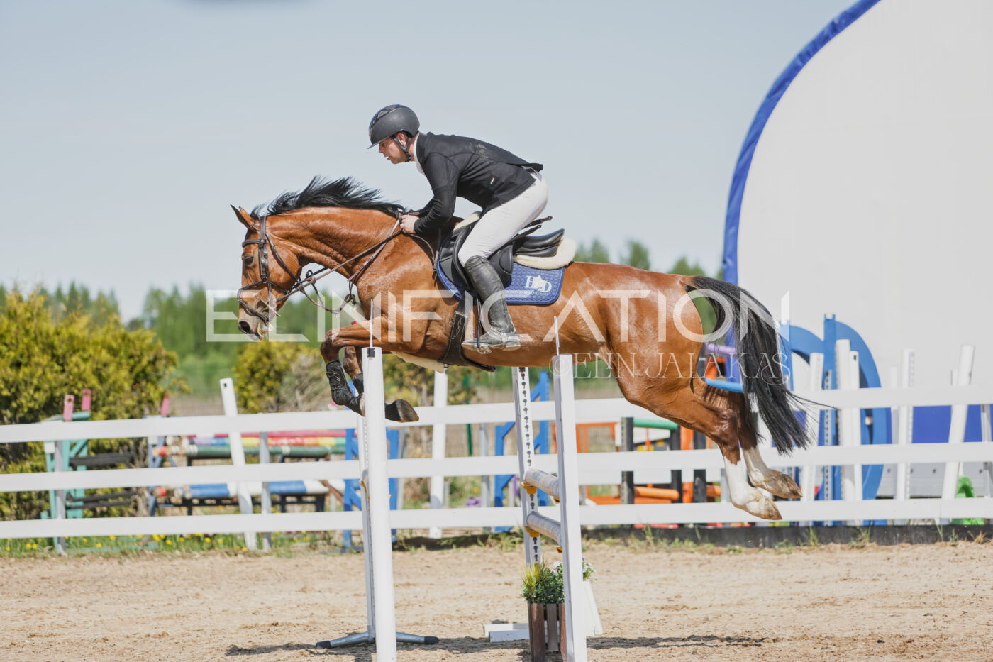 Gramina_Kevad_2026_100_122
