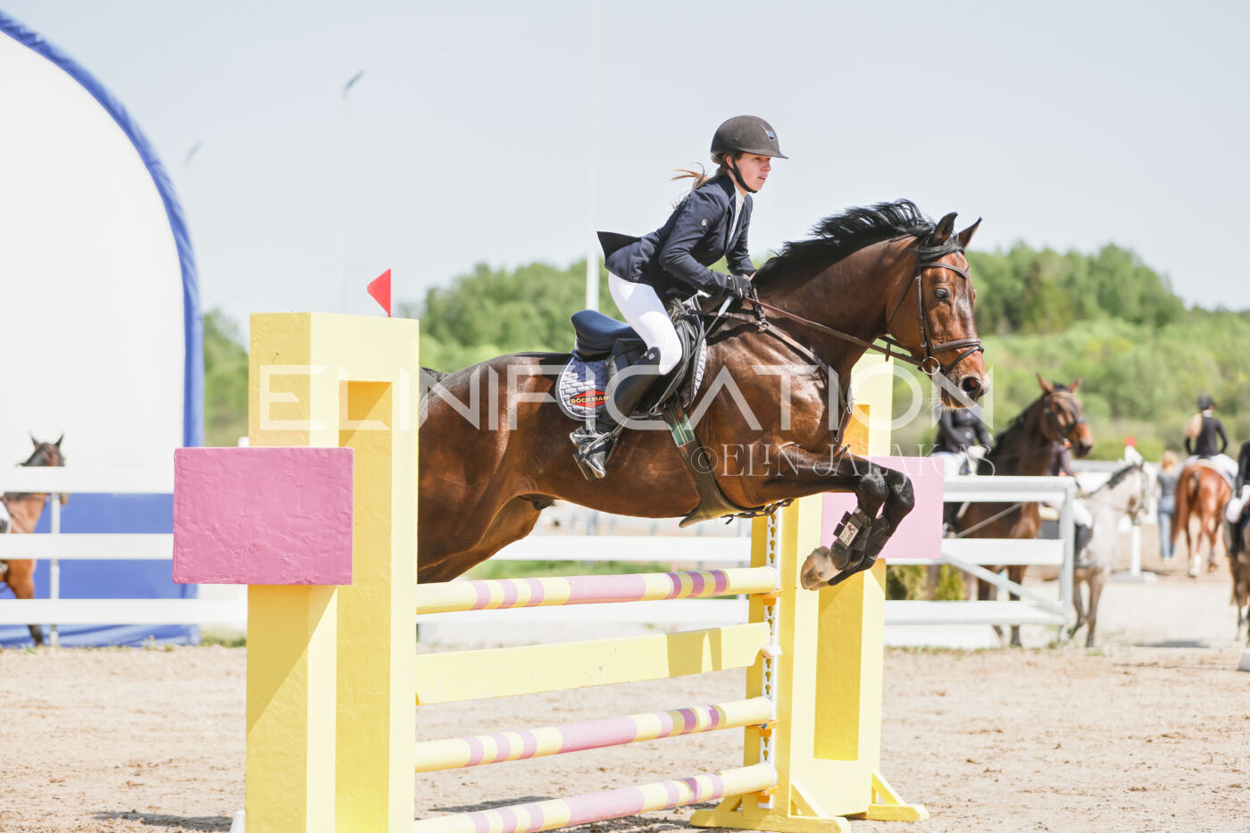 Gramina_Kevad_2026_100_125