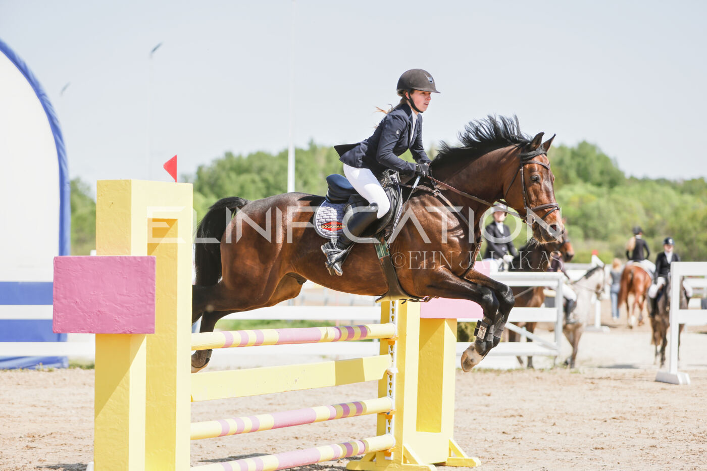 Gramina_Kevad_2026_100_126