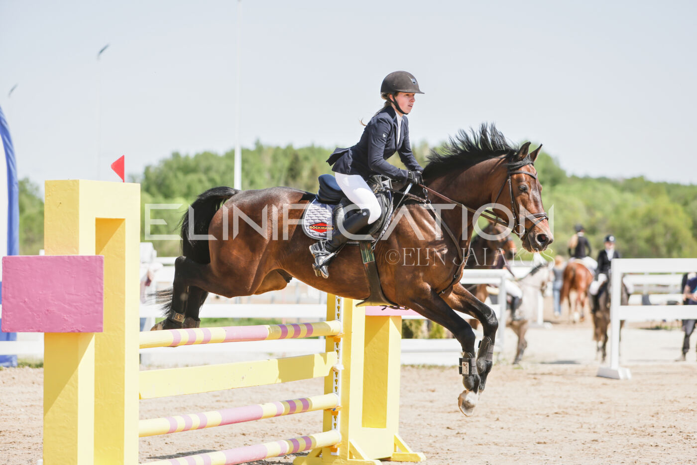 Gramina_Kevad_2026_100_127