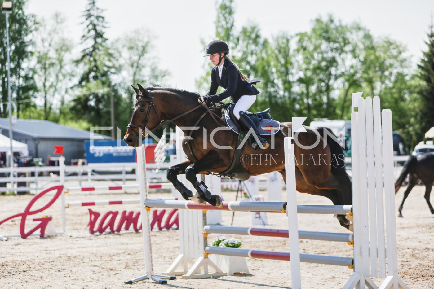 Gramina_Kevad_2026_100_128