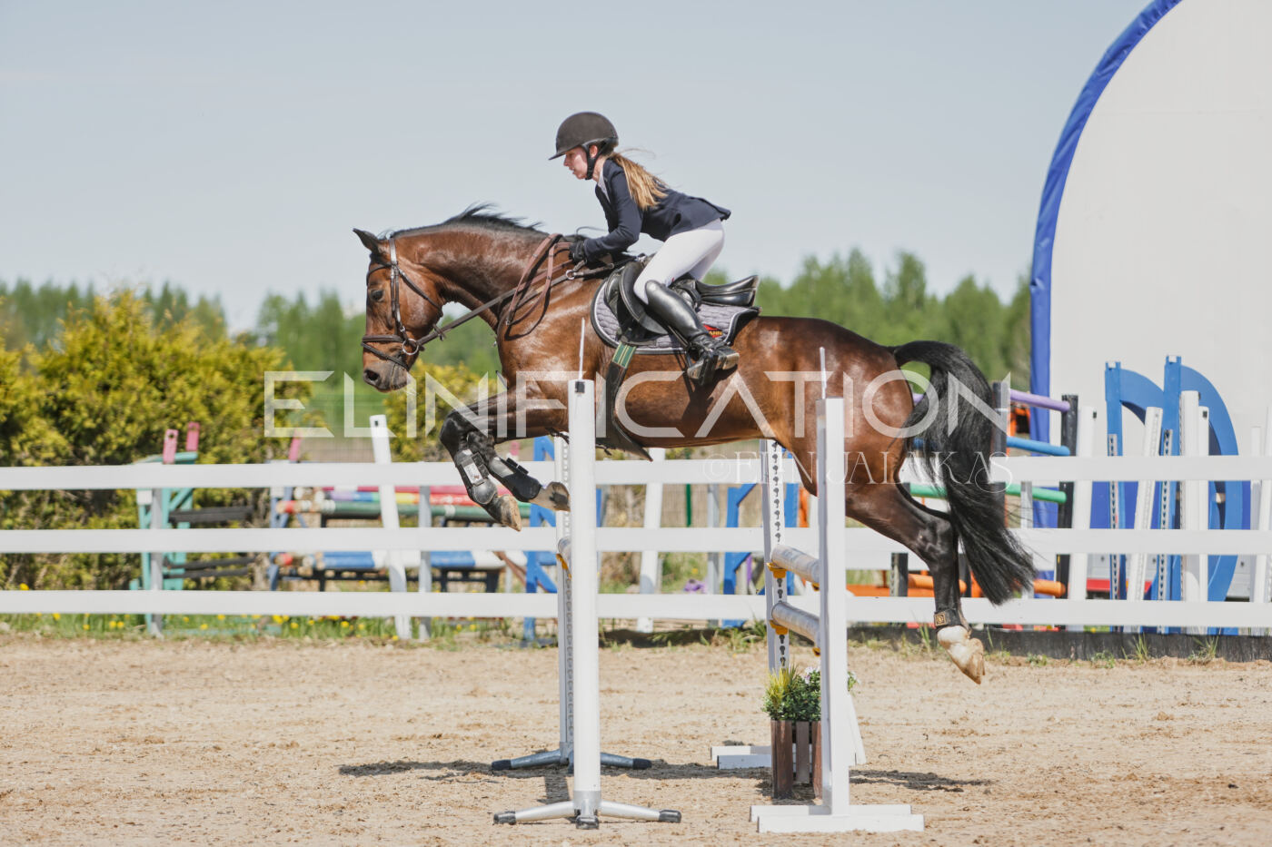 Gramina_Kevad_2026_100_131