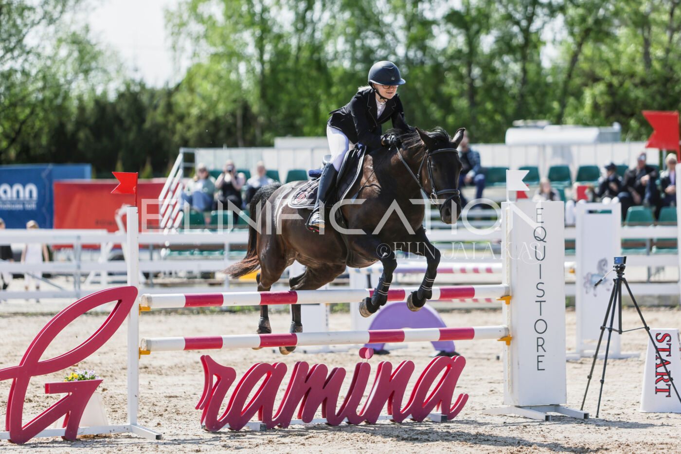 Gramina_Kevad_2026_100_134