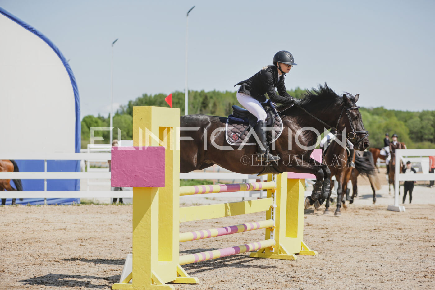 Gramina_Kevad_2026_100_135