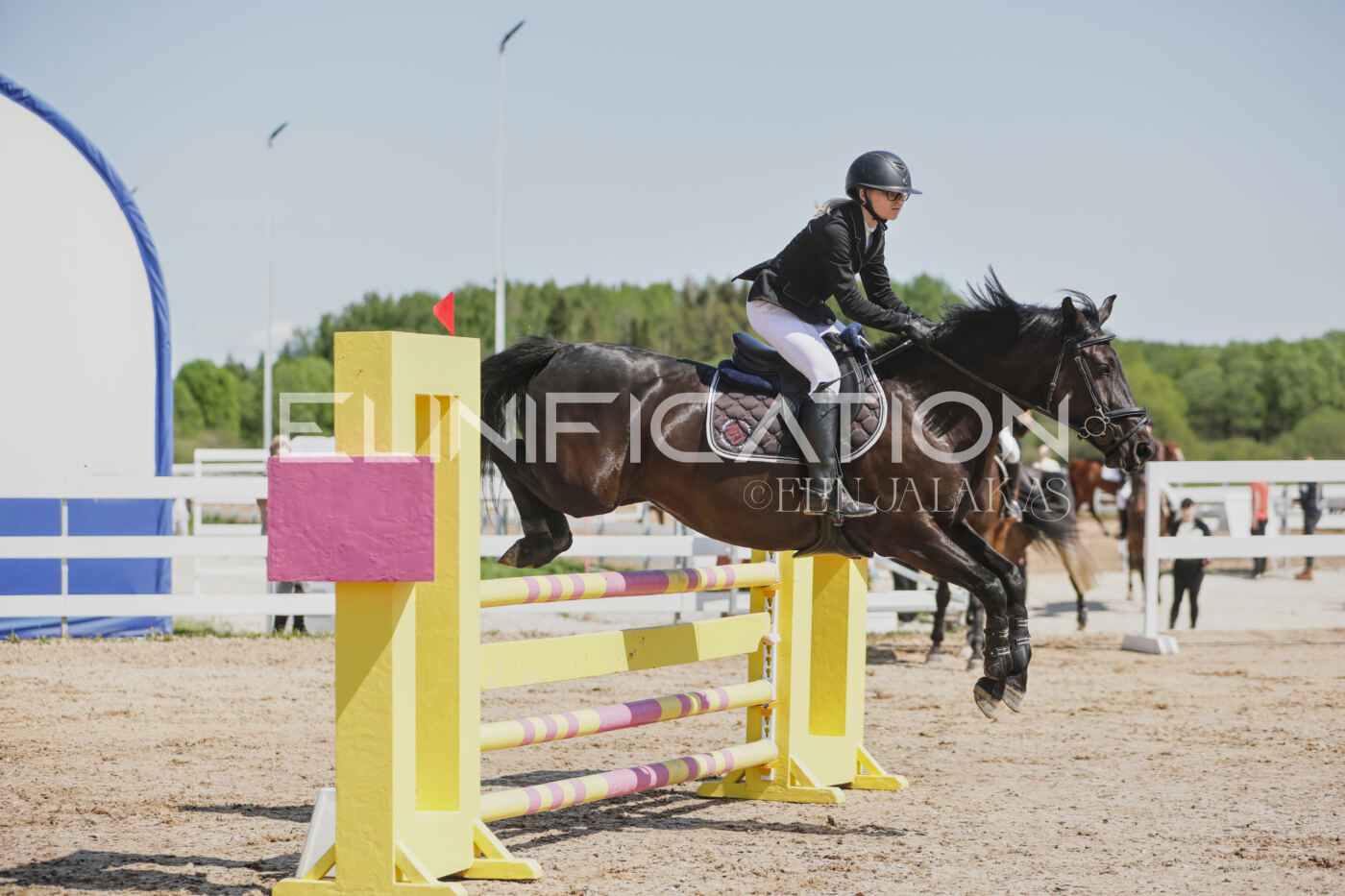 Gramina_Kevad_2026_100_136