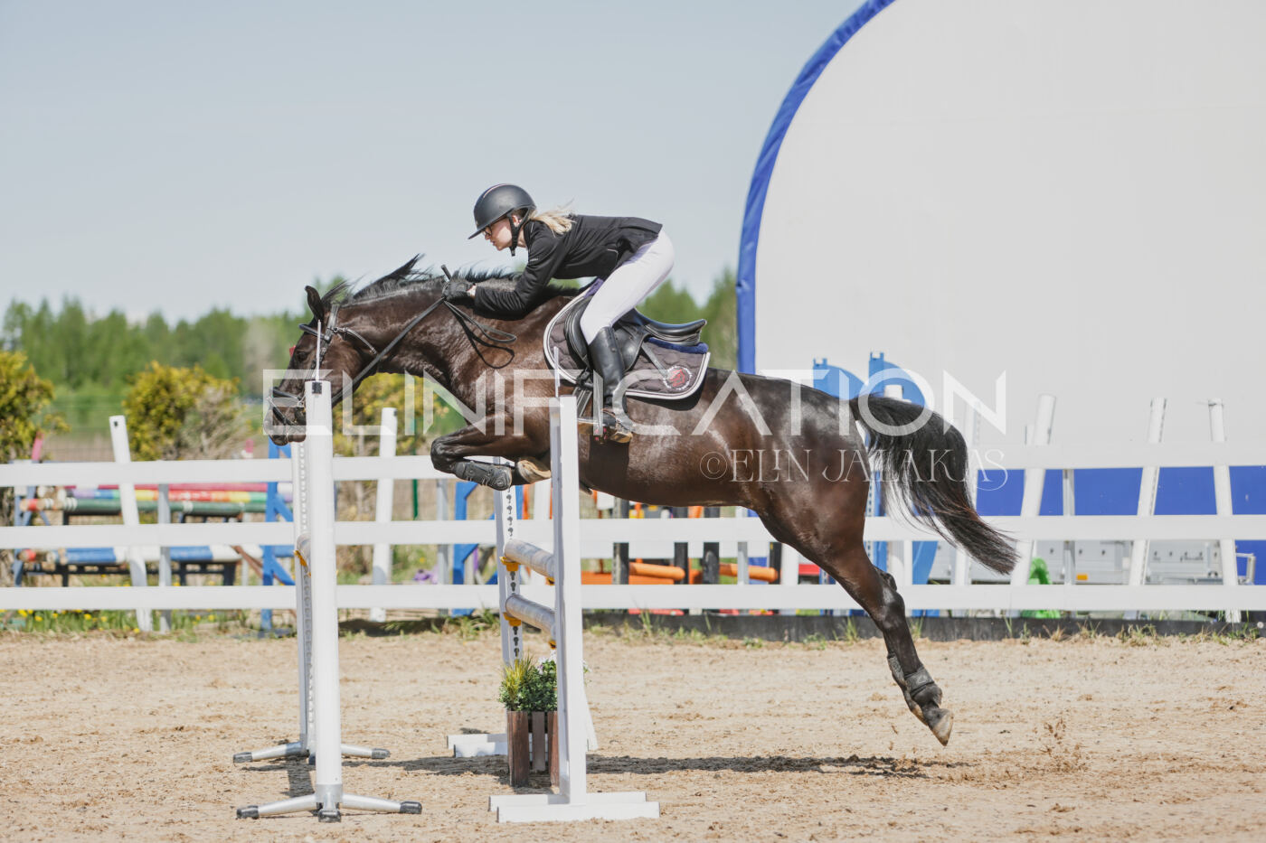 Gramina_Kevad_2026_100_144