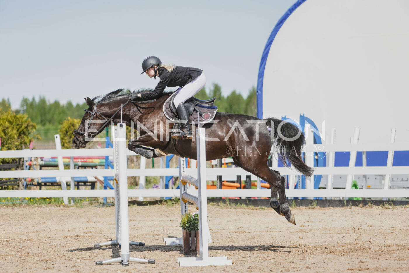 Gramina_Kevad_2026_100_145