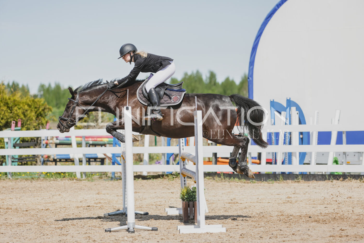 Gramina_Kevad_2026_100_146