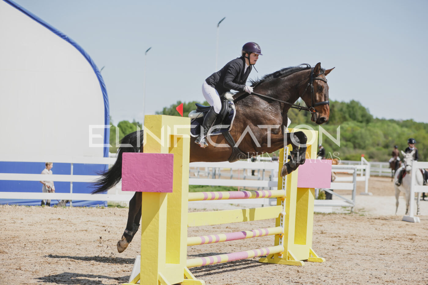 Gramina_Kevad_2026_100_149
