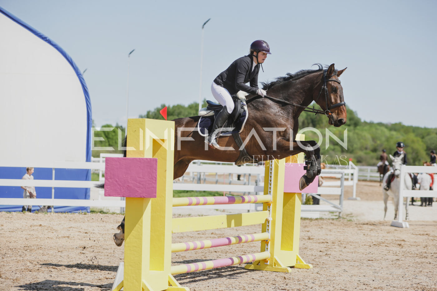 Gramina_Kevad_2026_100_150