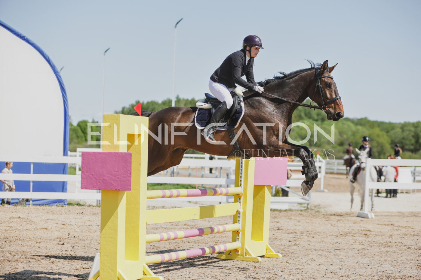 Gramina_Kevad_2026_100_151