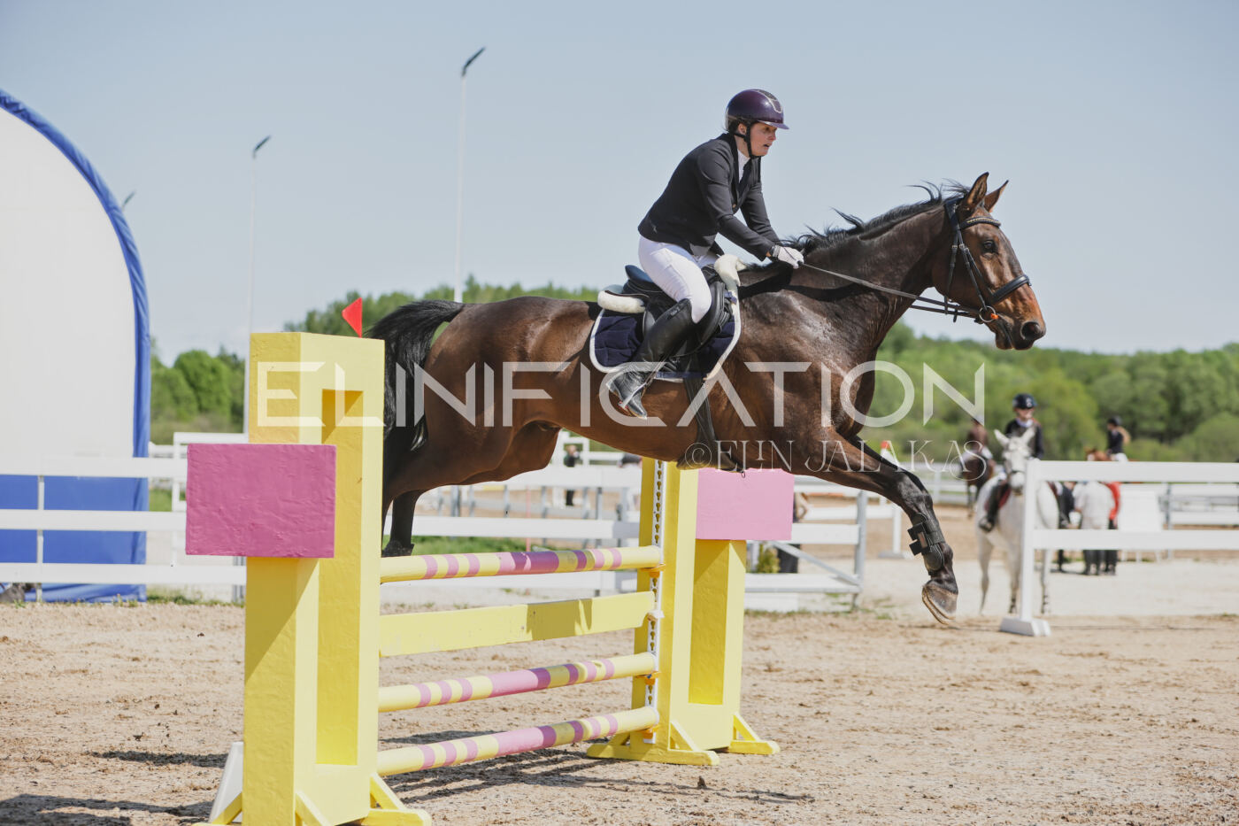 Gramina_Kevad_2026_100_152