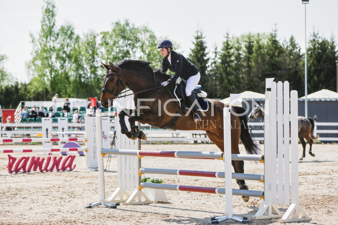 Gramina_Kevad_2026_100_153