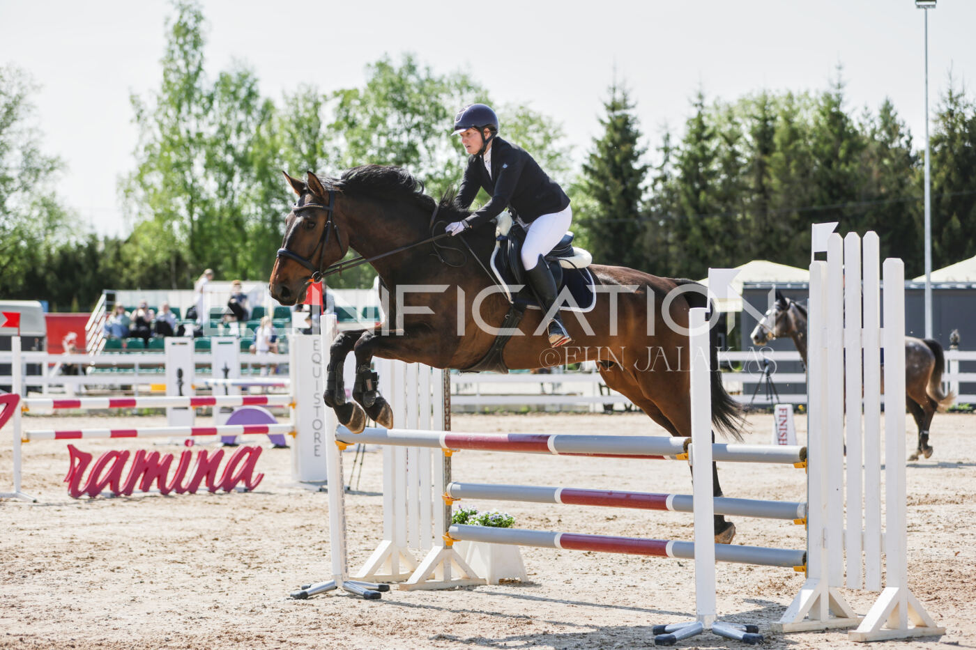 Gramina_Kevad_2026_100_154