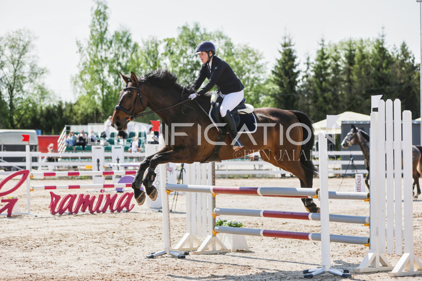 Gramina_Kevad_2026_100_155
