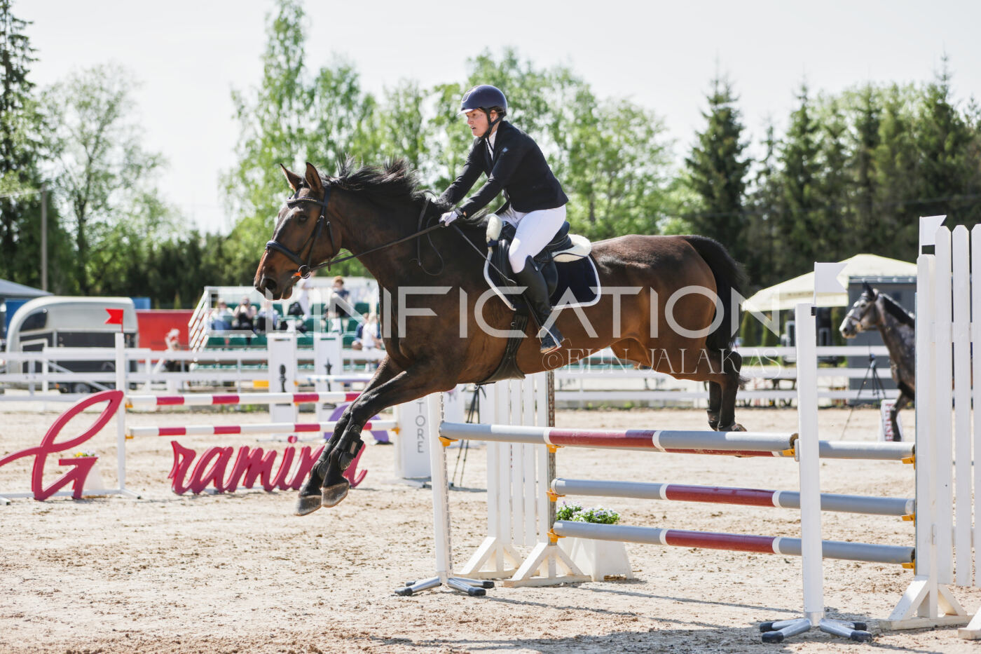 Gramina_Kevad_2026_100_156