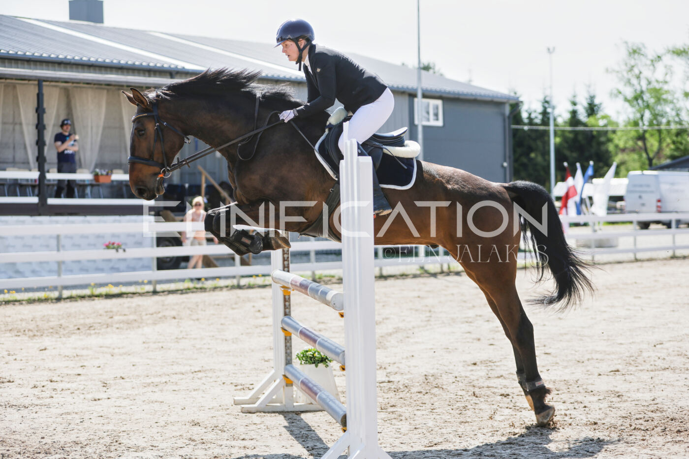 Gramina_Kevad_2026_100_158