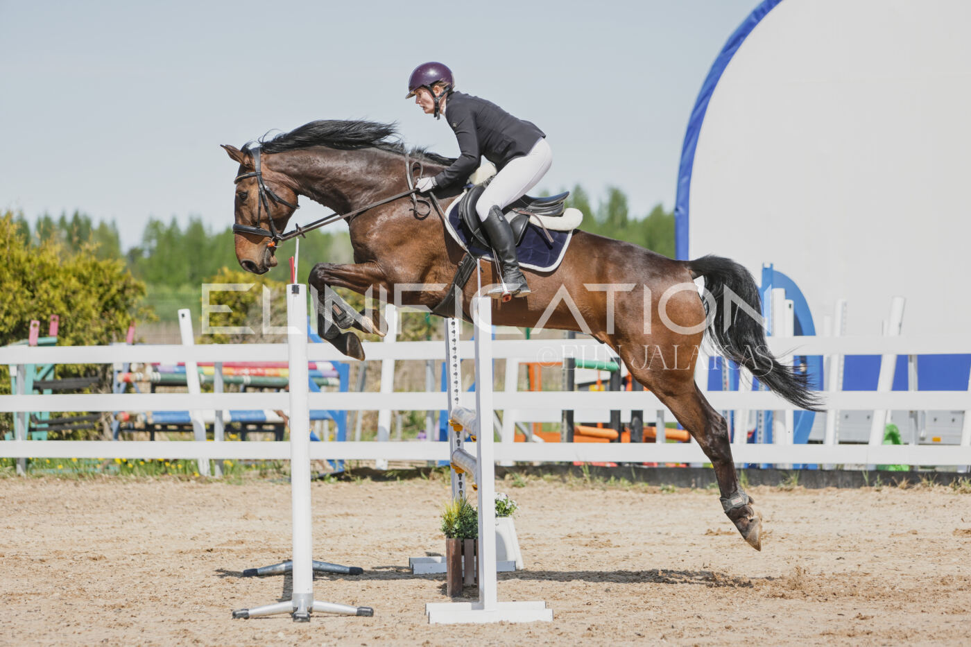 Gramina_Kevad_2026_100_159