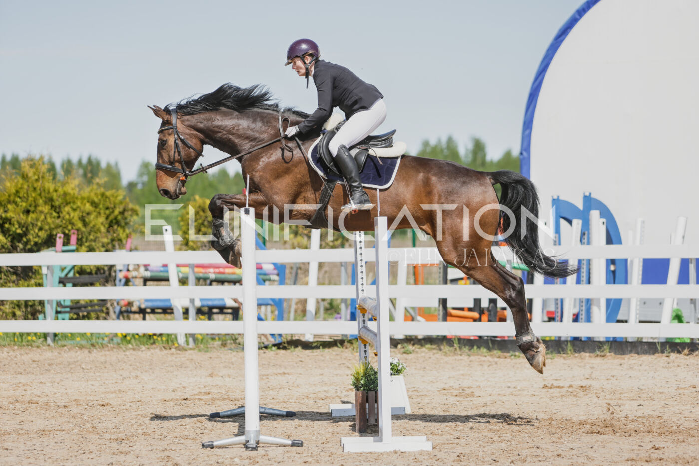 Gramina_Kevad_2026_100_160
