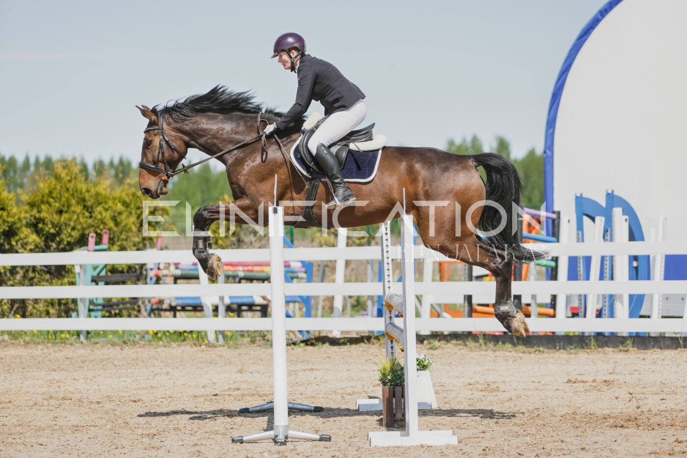 Gramina_Kevad_2026_100_161