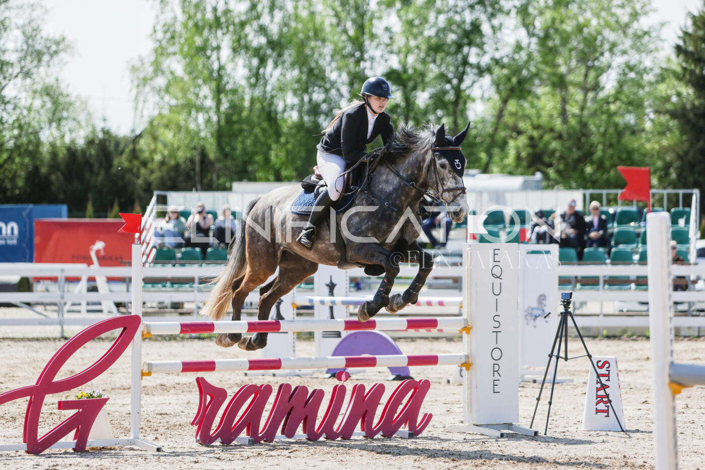 Gramina_Kevad_2026_100_164