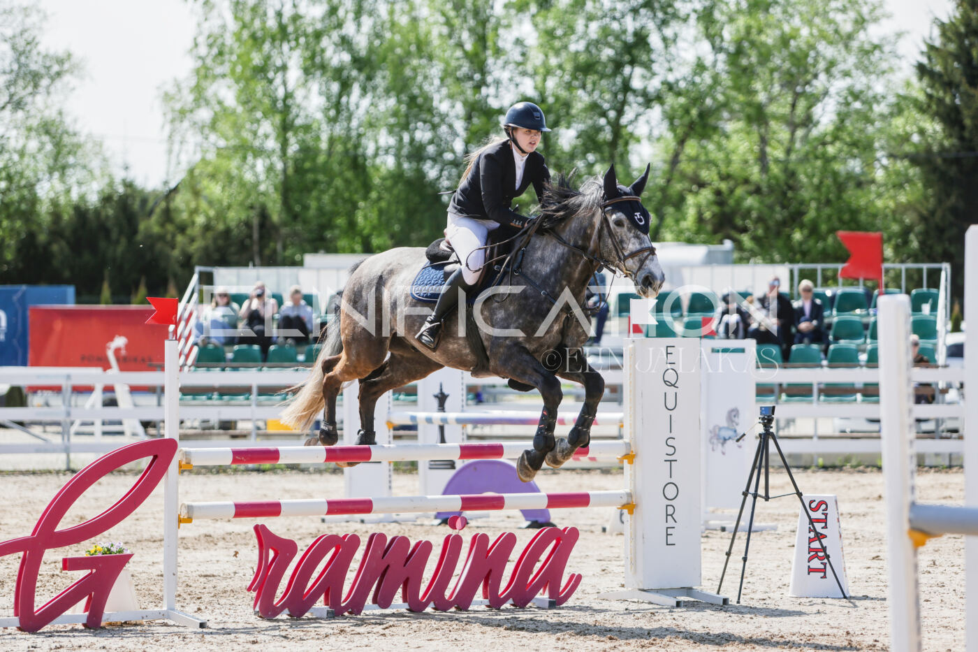 Gramina_Kevad_2026_100_165
