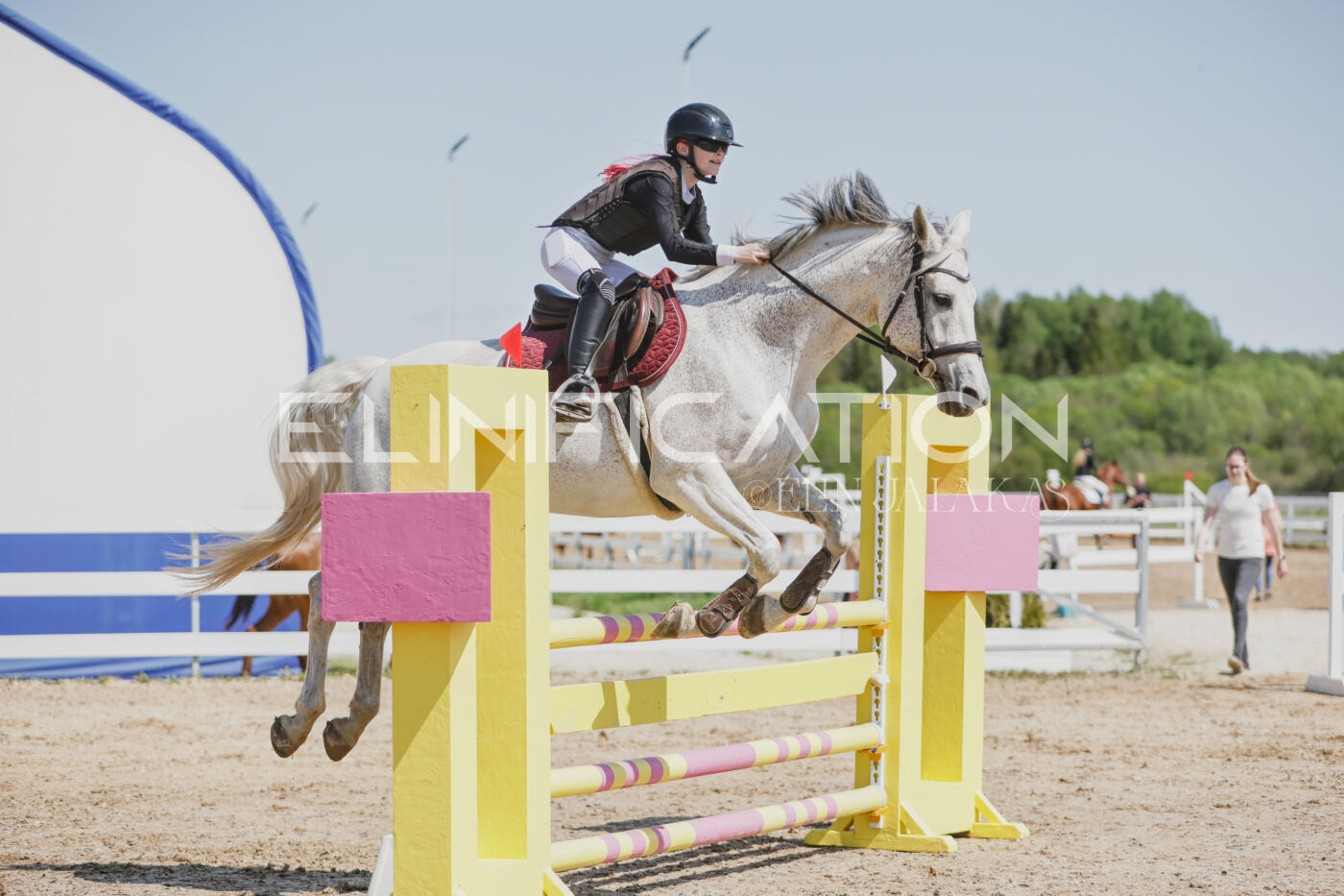 Gramina_Kevad_2026_100_172