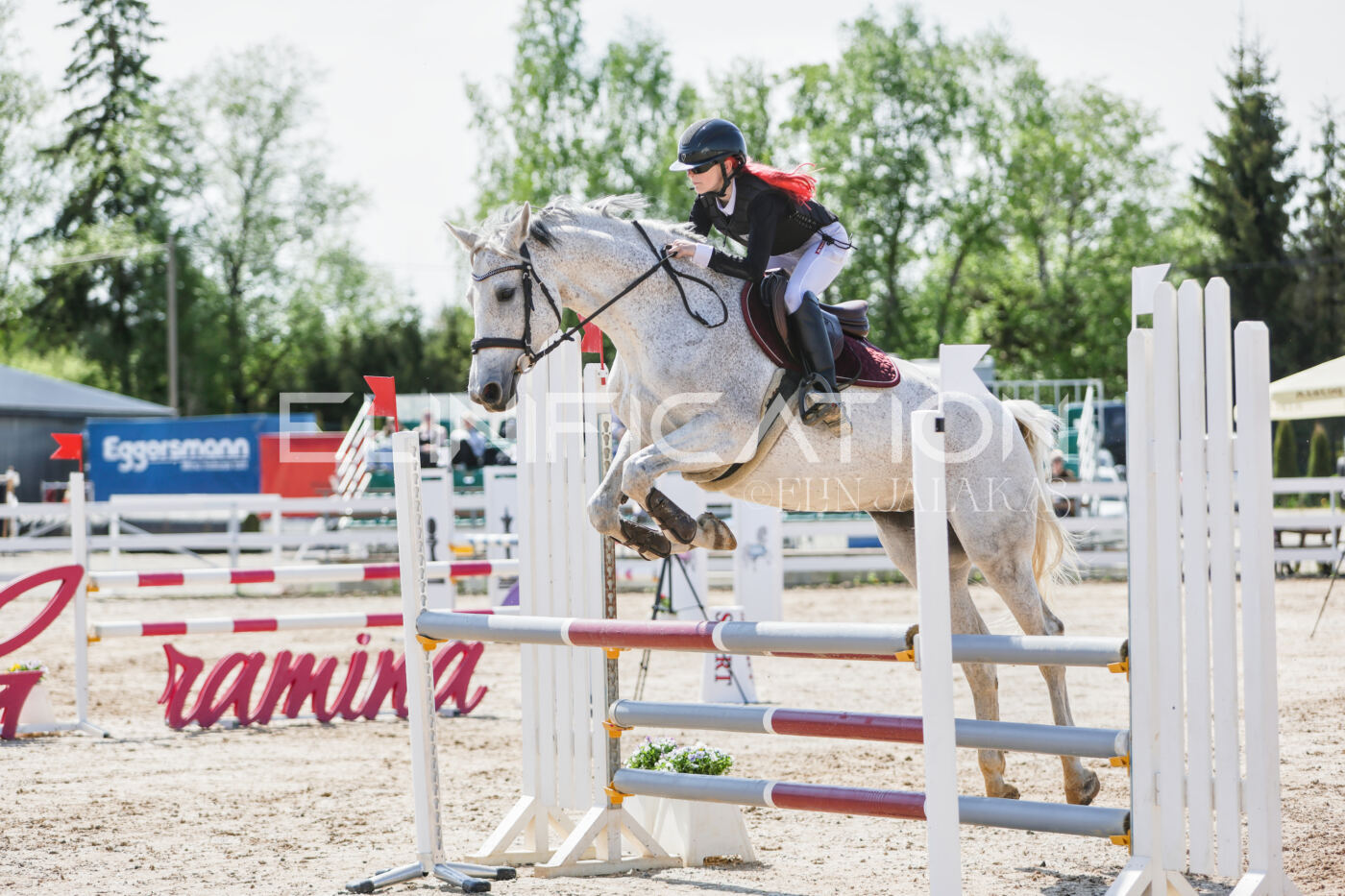 Gramina_Kevad_2026_100_174