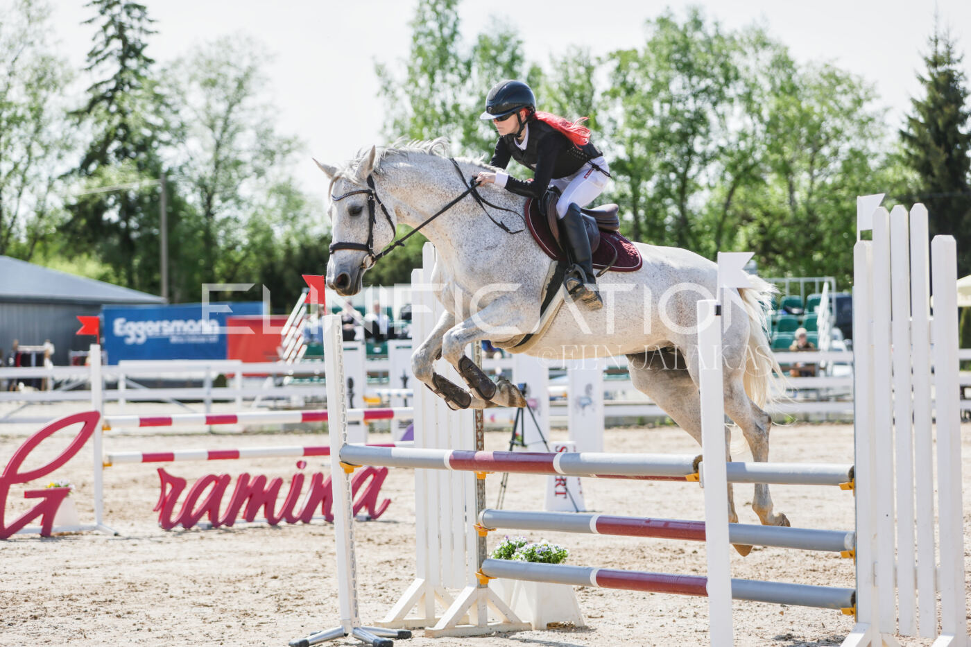 Gramina_Kevad_2026_100_175
